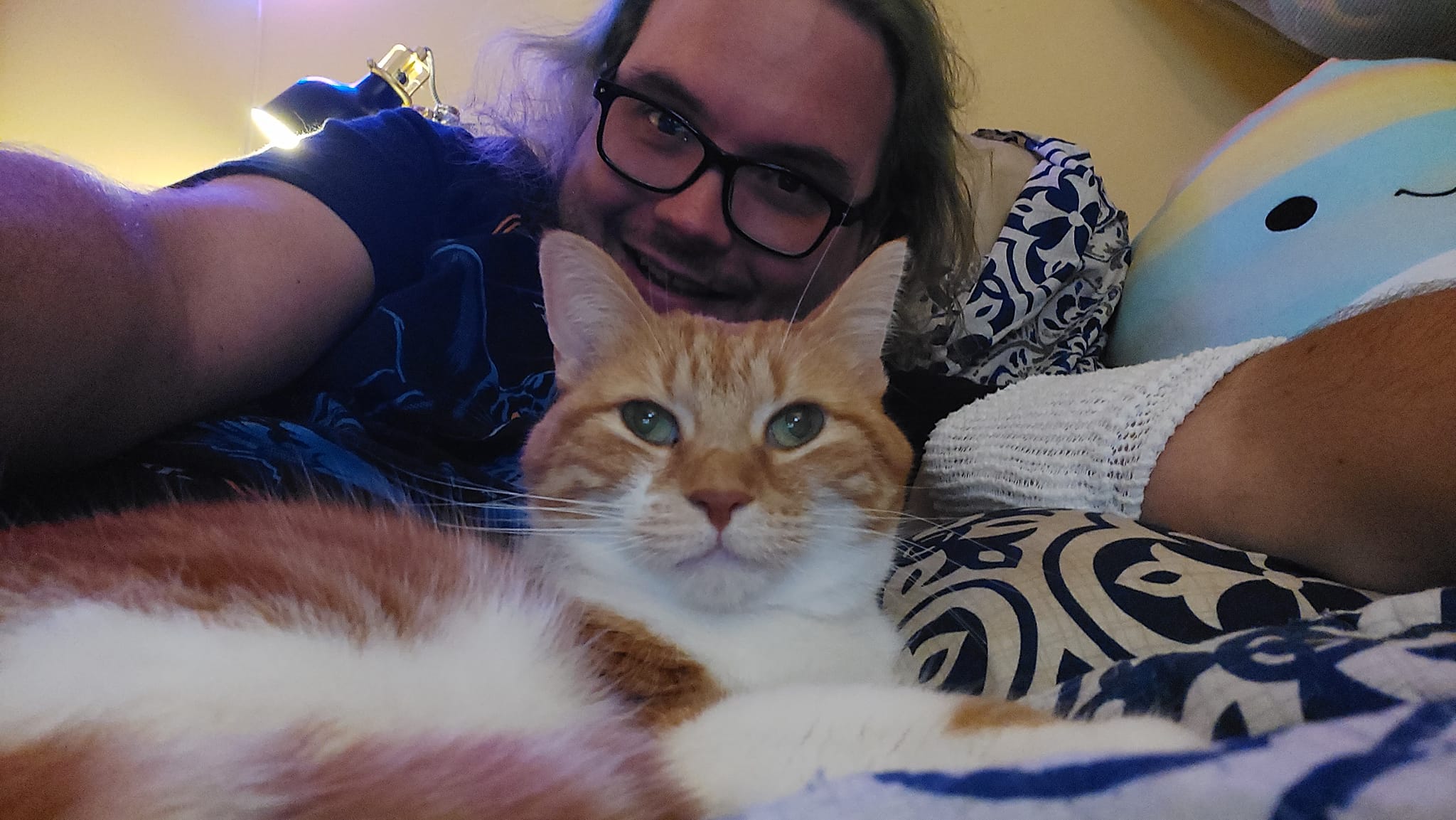 A man with long green hair lays in bed, an orange cat with wide eyes lies in front of him, a large Squishmallow fish next to him